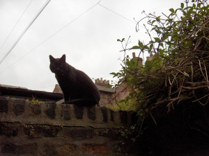 Stobart goes exploring