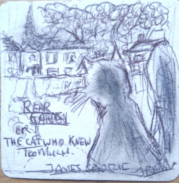 Rear Garden - Rough Sketch on Beer Mat